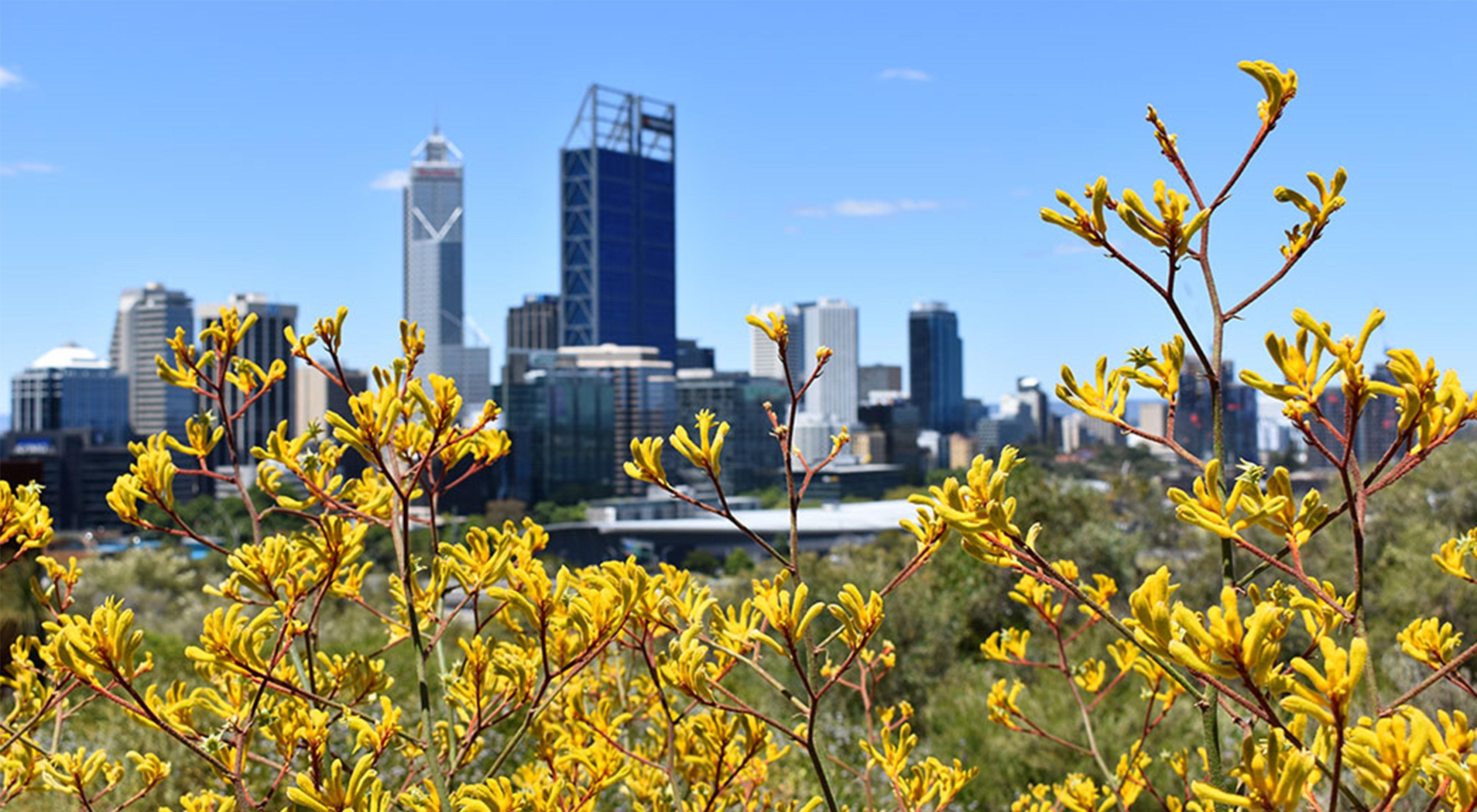 Holiday Inn Perth City Centre By Ihg Eksteriør billede
